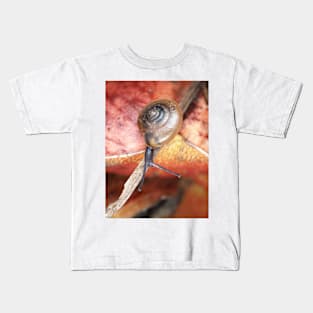 Tiny snail, possibly Ventridens species Kids T-Shirt